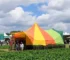 ExpoAgro 2026