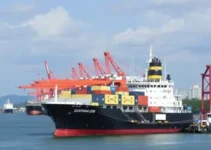 leilão MCP01